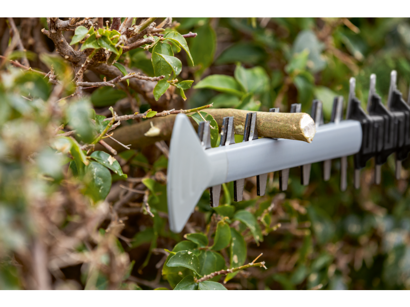 Akumulatorske škarje za živo mejo Bosch GHE 18V-60, 06008C9001